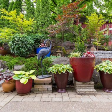 House Garden Backyard with hardscape and softscape with plants trees pavers stones colorful pots containers in landscaping - Turnkey Paver Patios